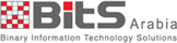 شركة حلول تقنية المعلومات الثنائية ( BITS )