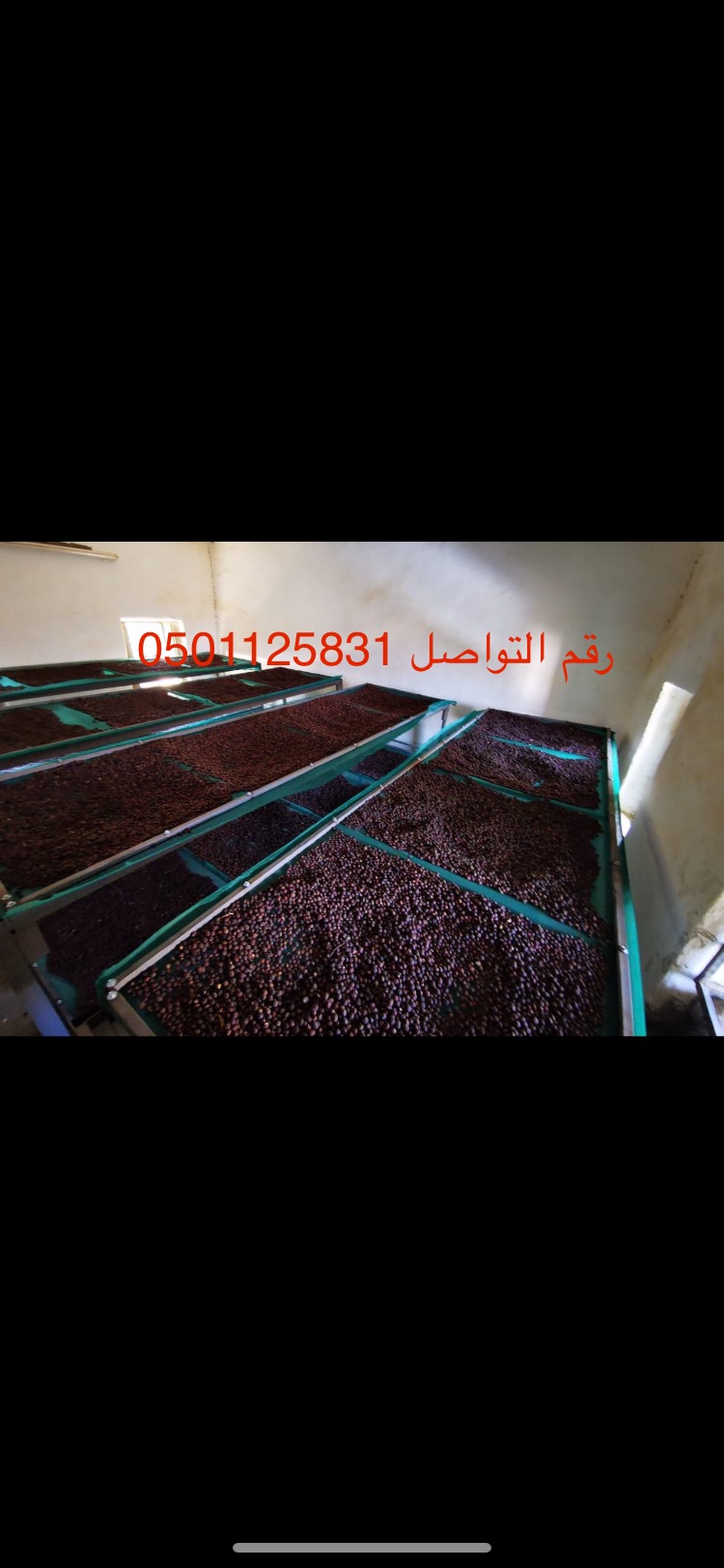 البن الخولاني السعودي